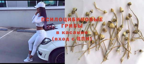 хмурый Михайлов
