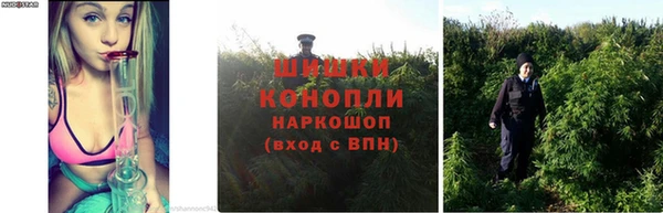 хмурый Михайлов