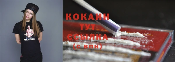 индика Михайловка