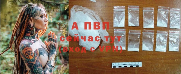 хмурый Михайлов