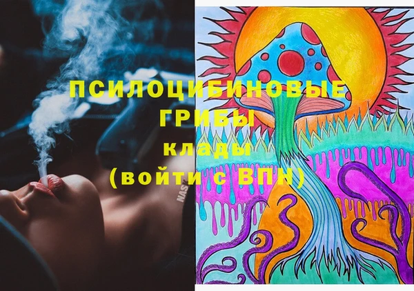 индика Михайловка