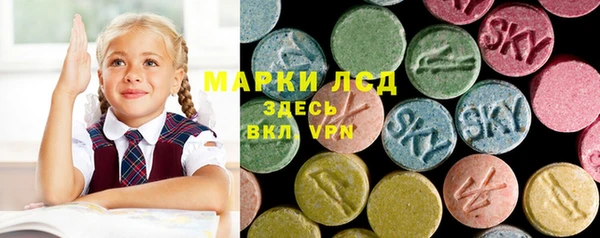 индика Михайловка