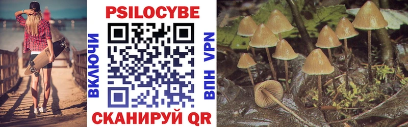 Купить где Кадников Галлюциногенные грибы Cubensis
